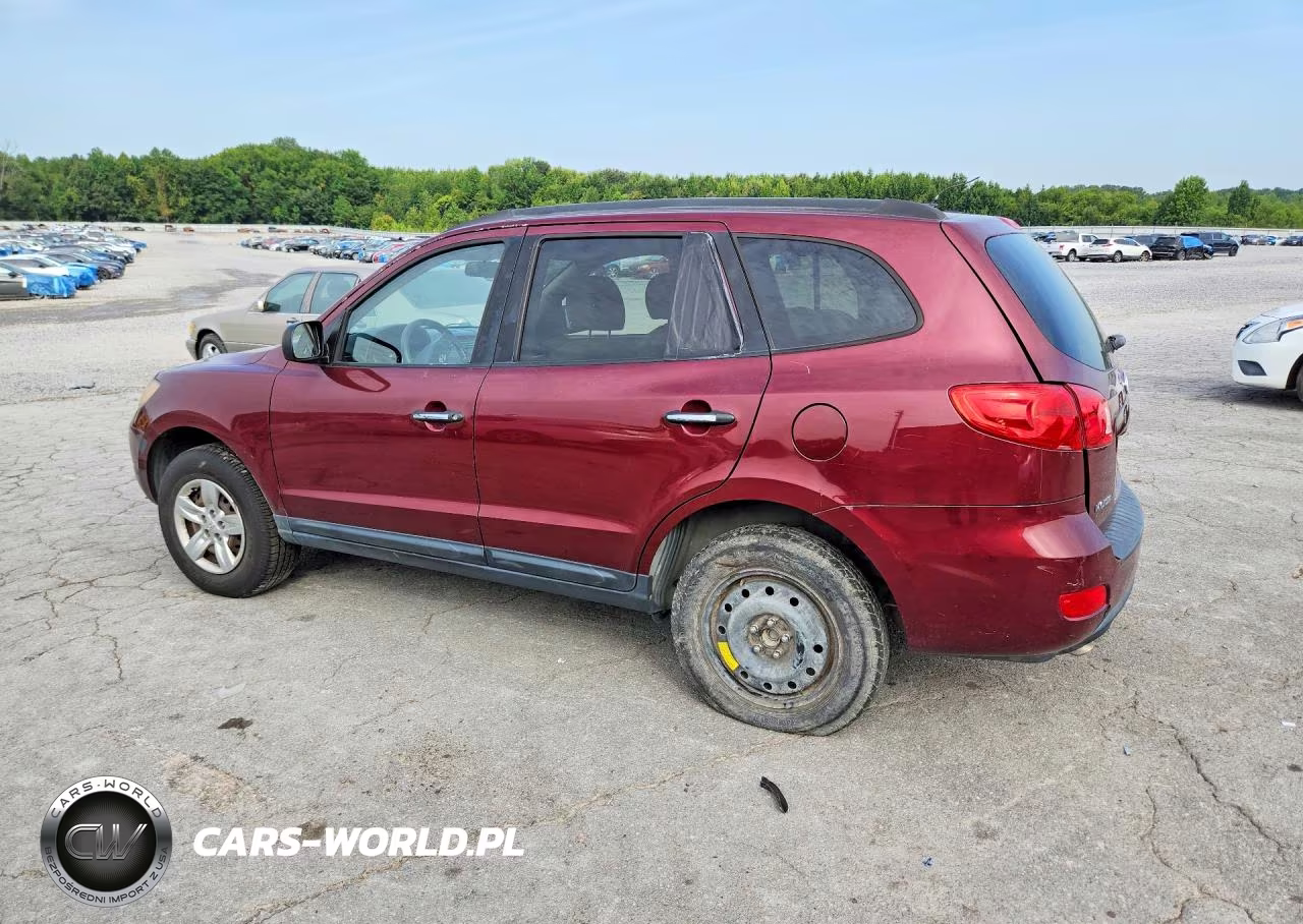 2009 Hyundai Santa Fe Gls VIN:5NMSG13D69H296115 - 2