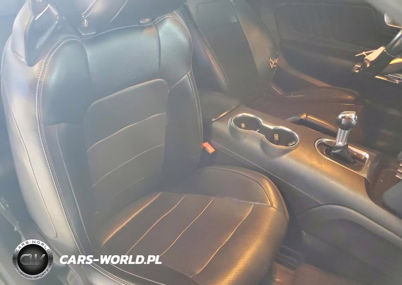 2019 Ford Mustang VIN:1FATP8UH4K5170249 - 10