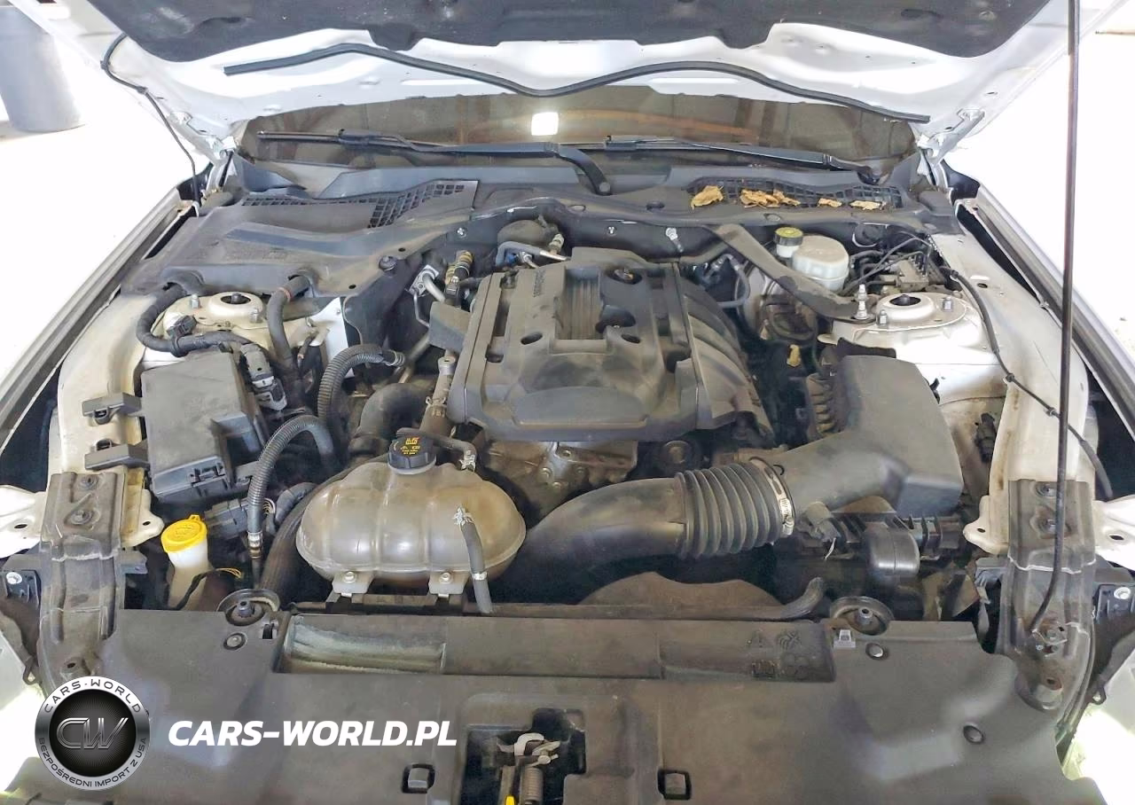 2019 Ford Mustang VIN:1FATP8UH4K5170249 - 11
