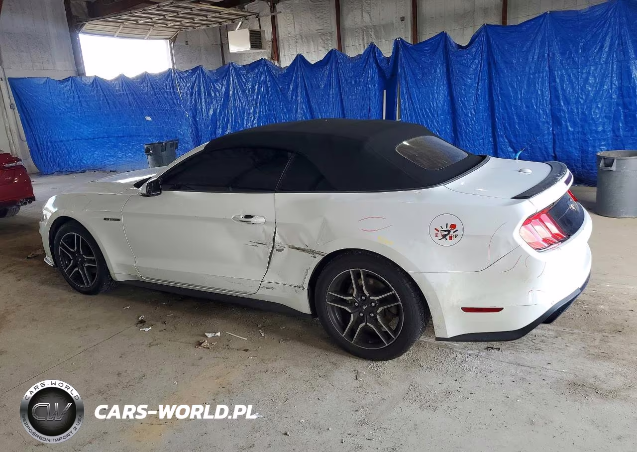 2019 Ford Mustang VIN:1FATP8UH4K5170249 - 2
