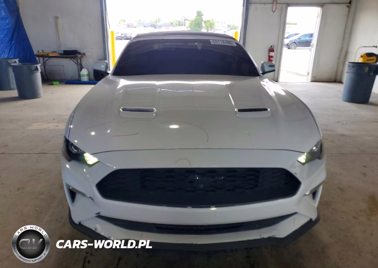 2019 Ford Mustang VIN:1FATP8UH4K5170249 - 5