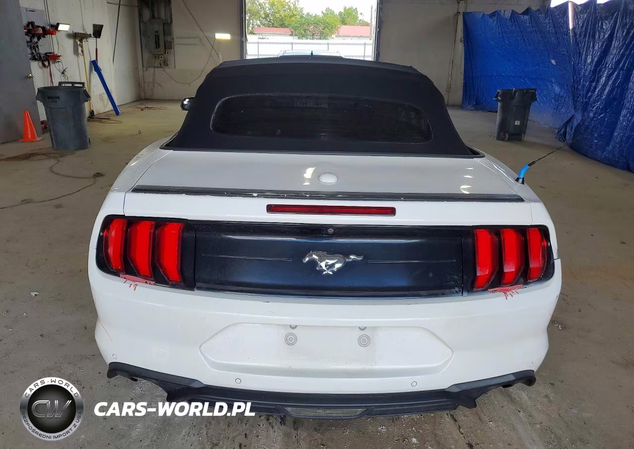 2019 Ford Mustang VIN:1FATP8UH4K5170249 - 6