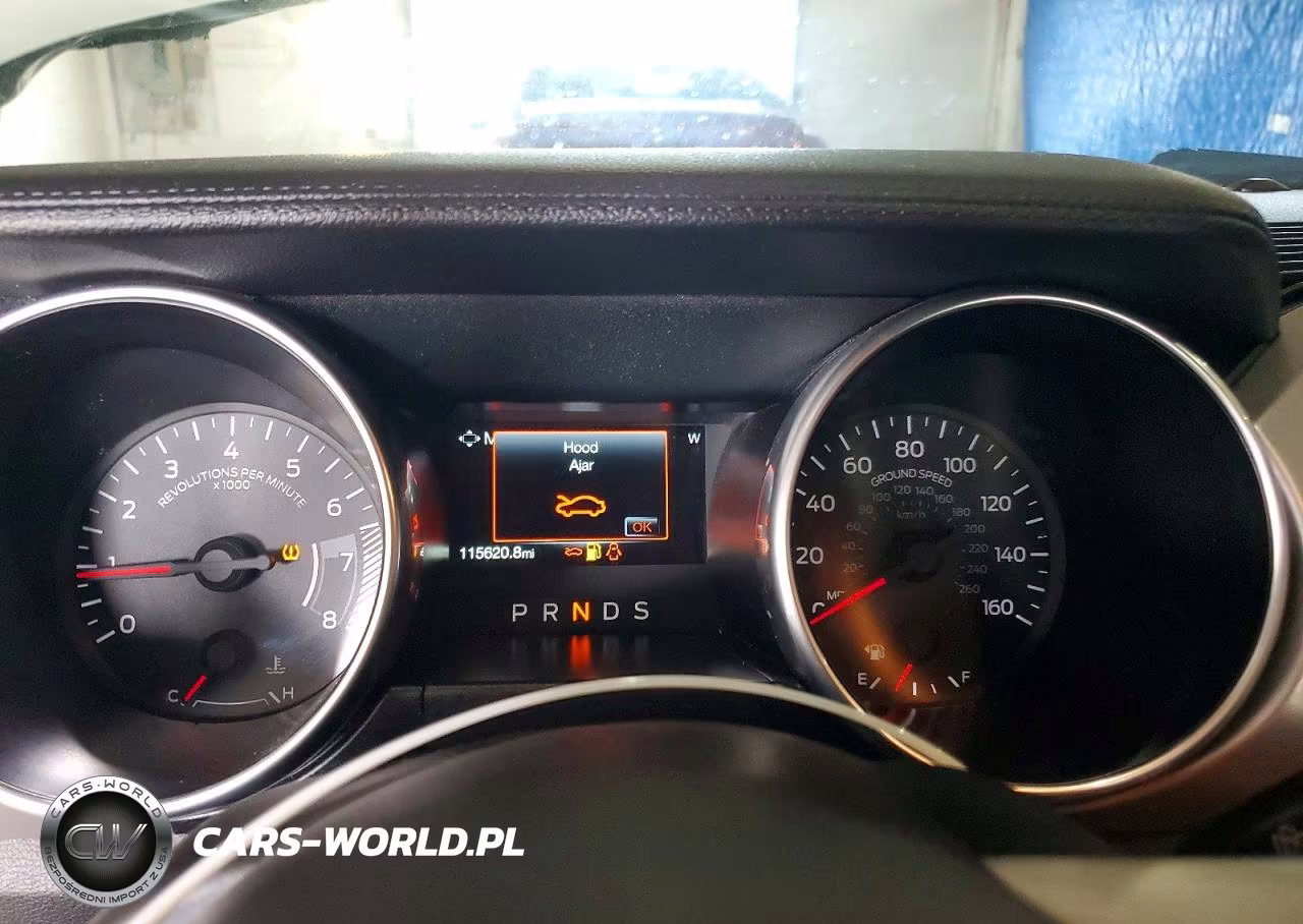 2019 Ford Mustang VIN:1FATP8UH4K5170249 - 9