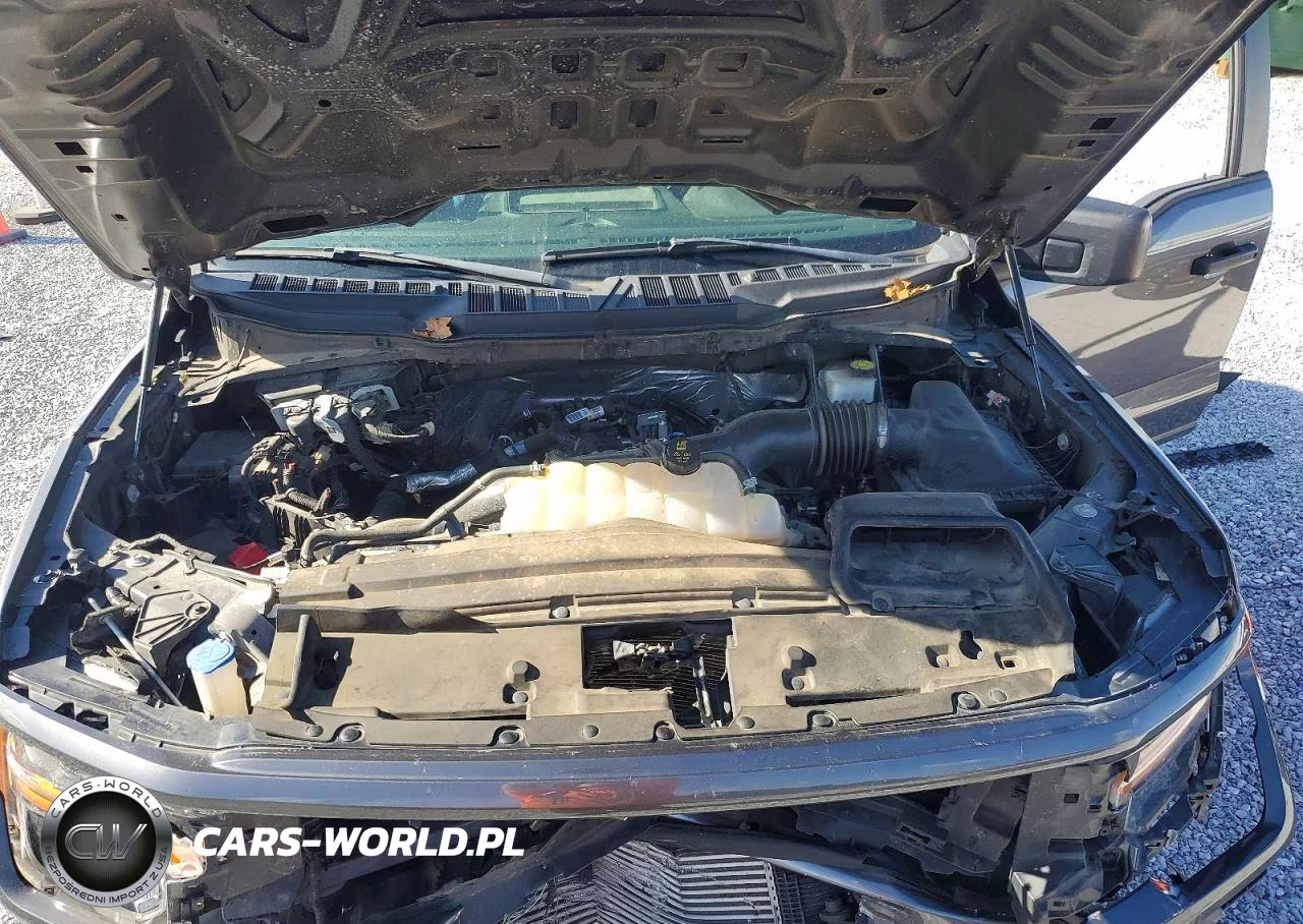 2024 Ford F150 Stx VIN:1FTEW2KP2RKD53996 - 11