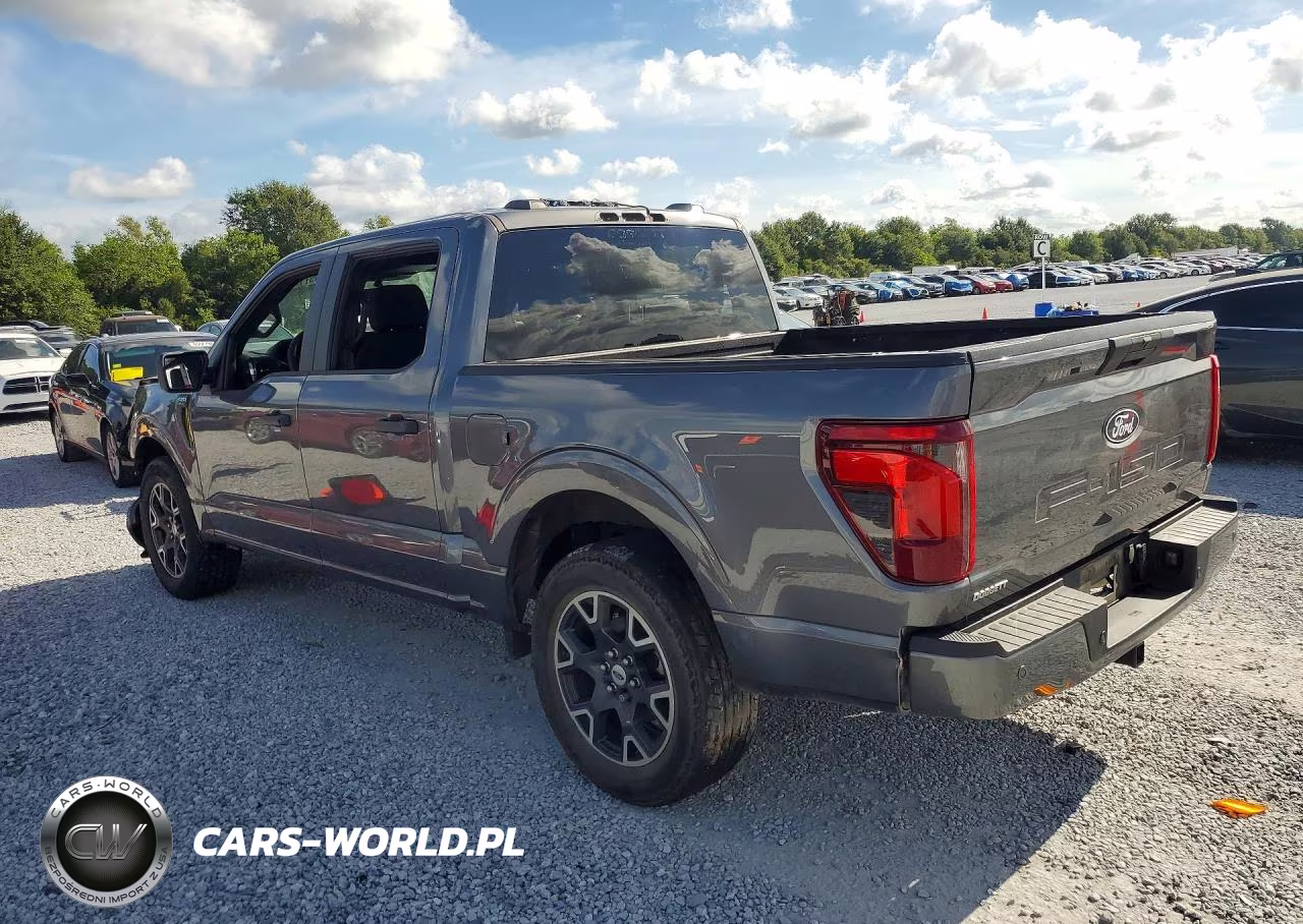 2024 Ford F150 Stx VIN:1FTEW2KP2RKD53996 - 2