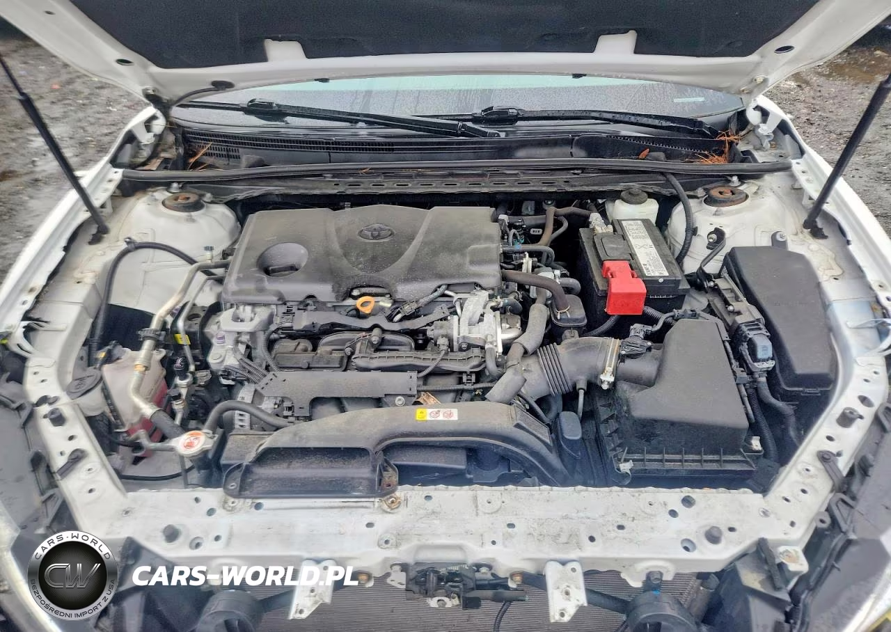 2019 Toyota Camry Se VIN:4T1B11HK2KU825238 - 11