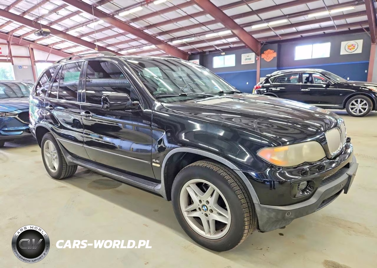 2005 BMW X5 4.4I VIN:5UXFB535X5LV18839 - 4