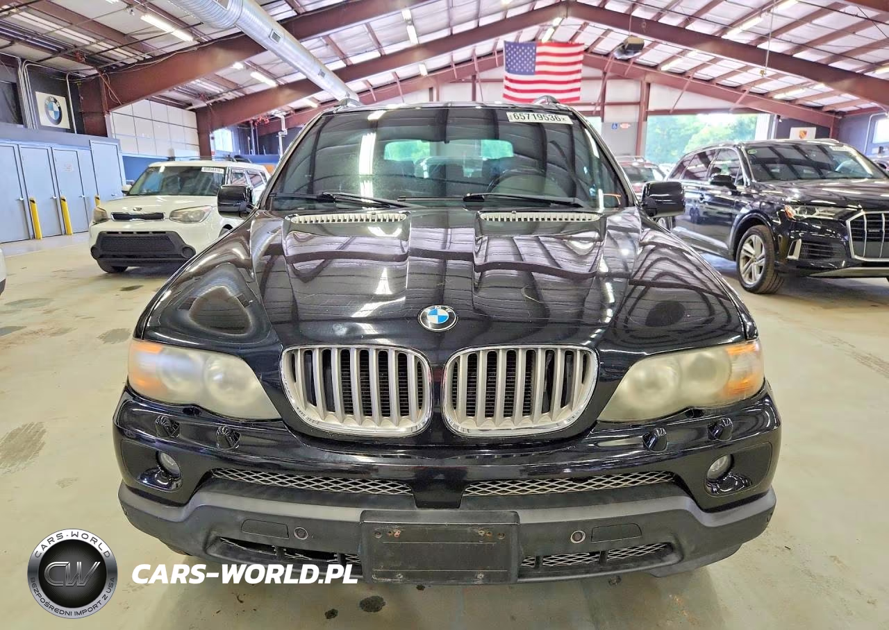 2005 BMW X5 4.4I VIN:5UXFB535X5LV18839 - 5