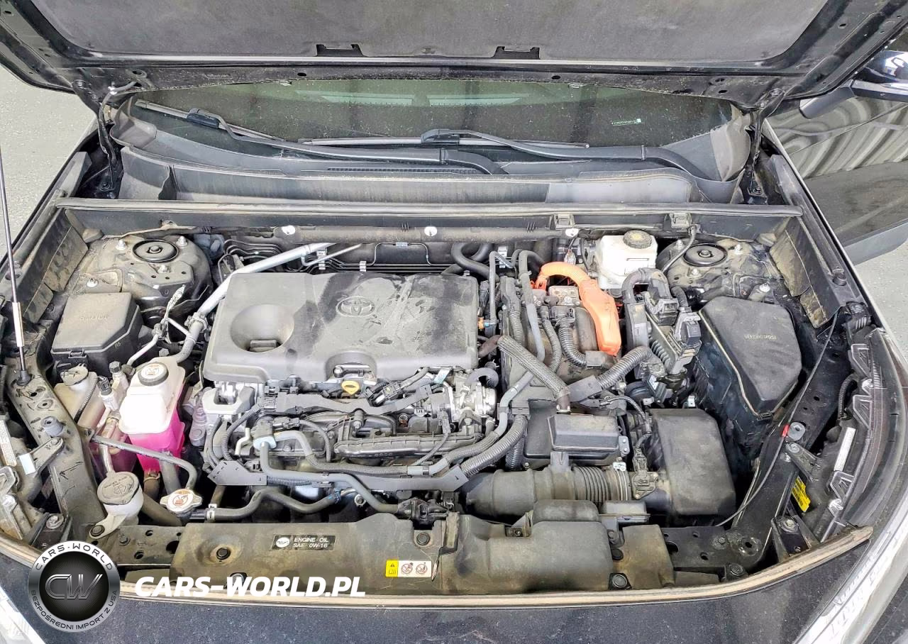 2023 Toyota Rav4 Hybrid Xle VIN:4T3RWRFVXPU091121 - 12