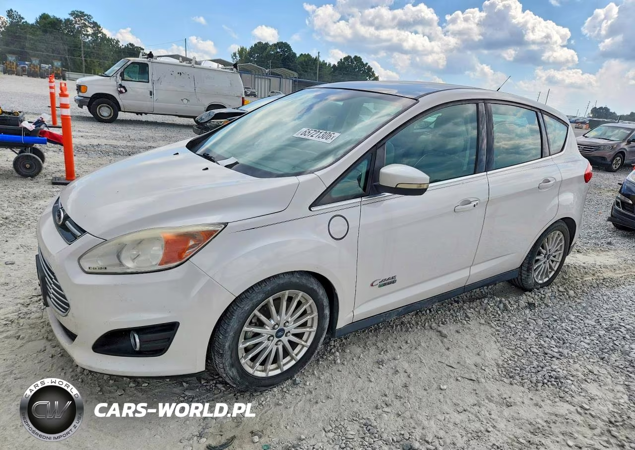 2013 Ford C-Max Premium VIN:1FADP5CU0DL524896 - 1