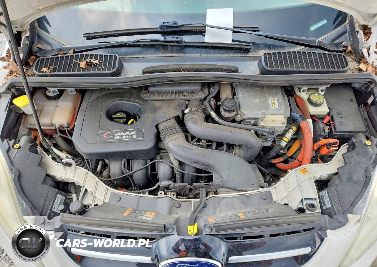 2013 Ford C-Max Premium VIN:1FADP5CU0DL524896 - 11