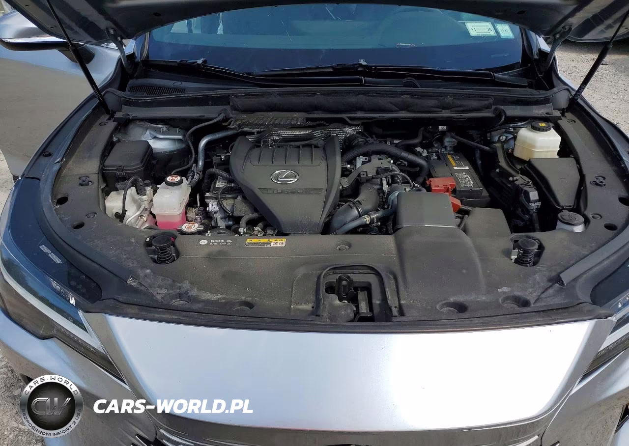 2024 Lexus Rx 350 Premium VIN:2T2BAMCA2RC083480 - 12