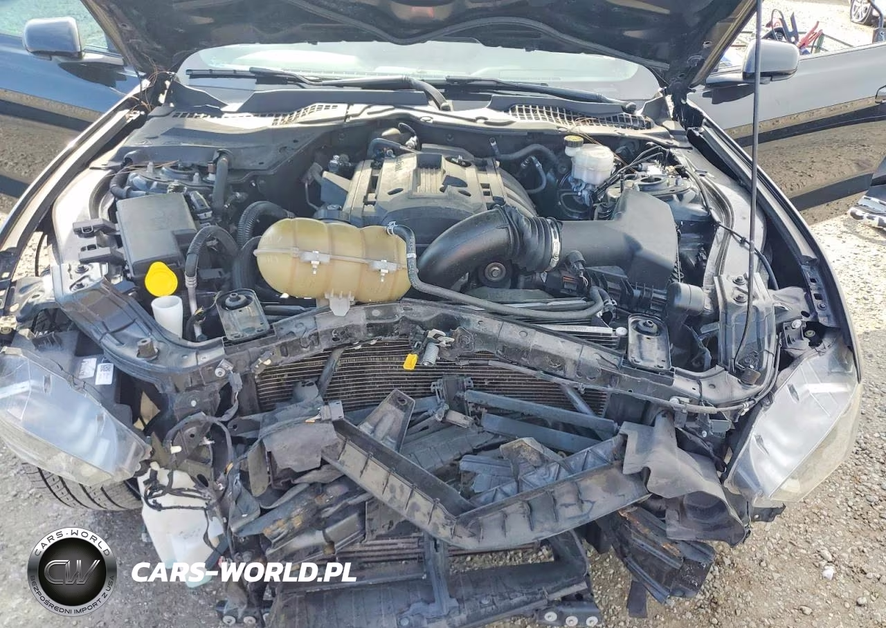 2020 Ford Mustang VIN:1FA6P8TH0L5146207 - 11