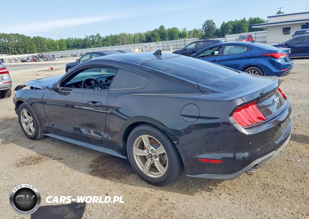 2020 Ford Mustang VIN:1FA6P8TH0L5146207 - 2