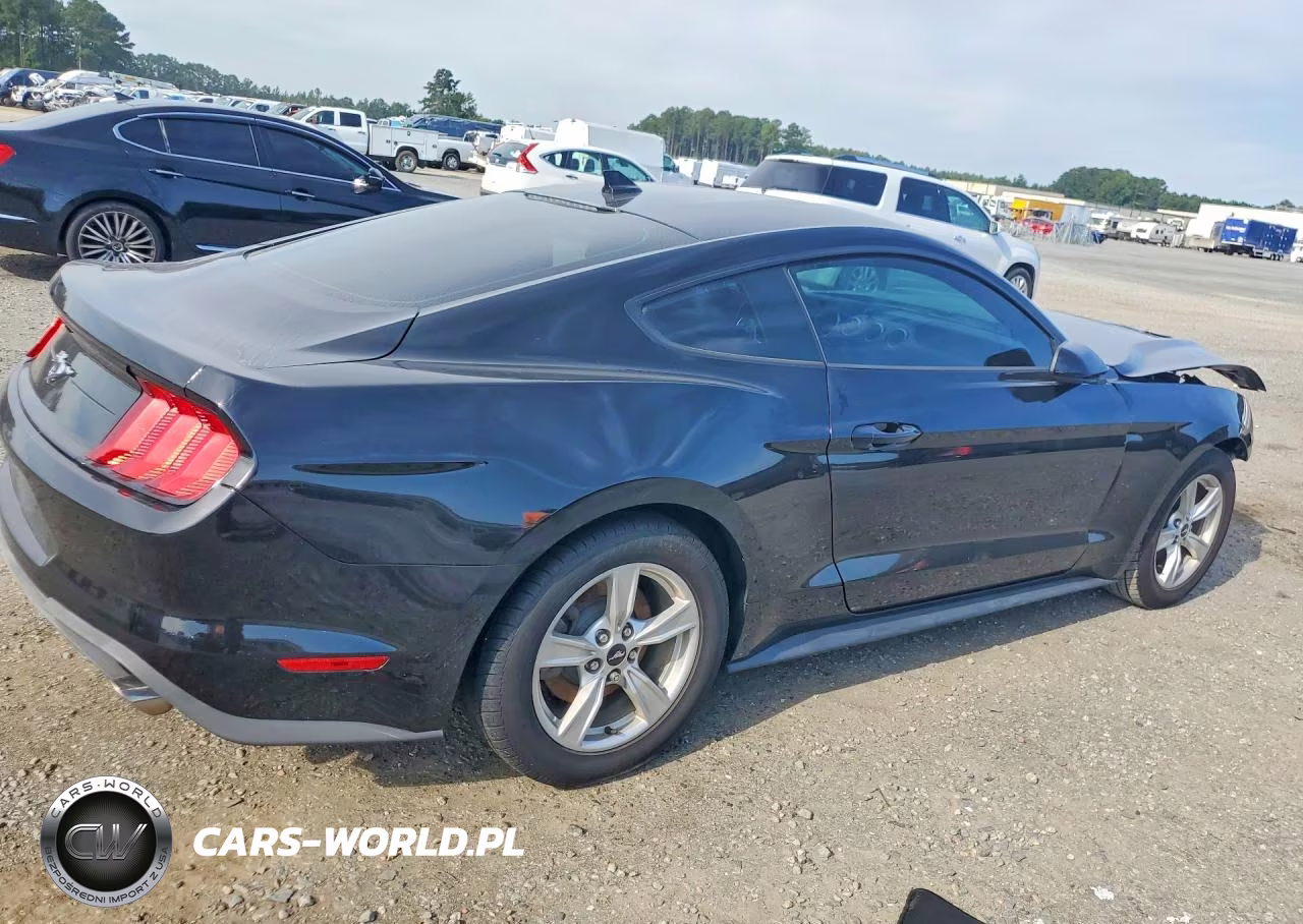 2020 Ford Mustang VIN:1FA6P8TH0L5146207 - 3