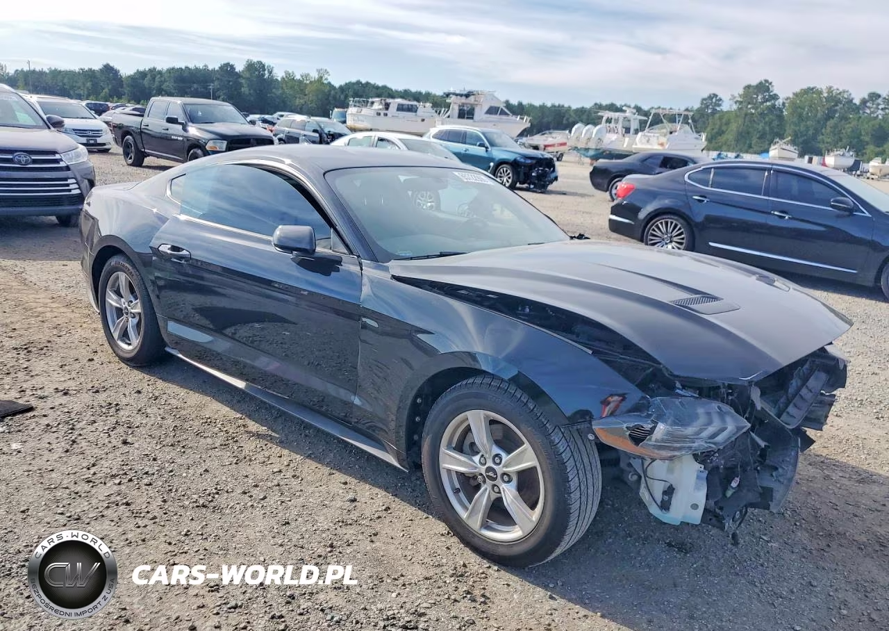 2020 Ford Mustang VIN:1FA6P8TH0L5146207 - 4