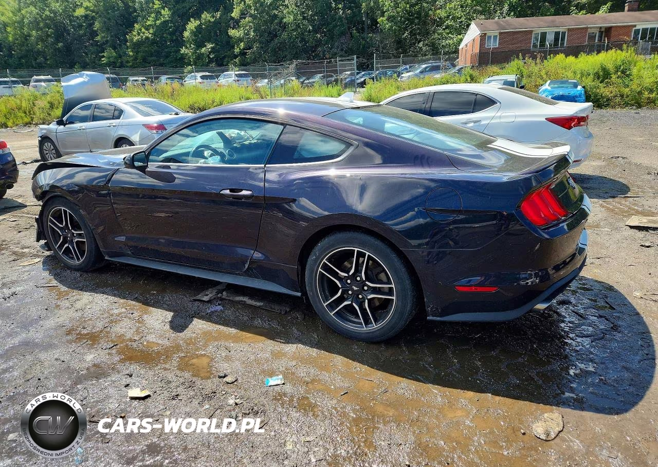 2023 Ford Mustang VIN:1FA6P8TH8P5101621 - 2