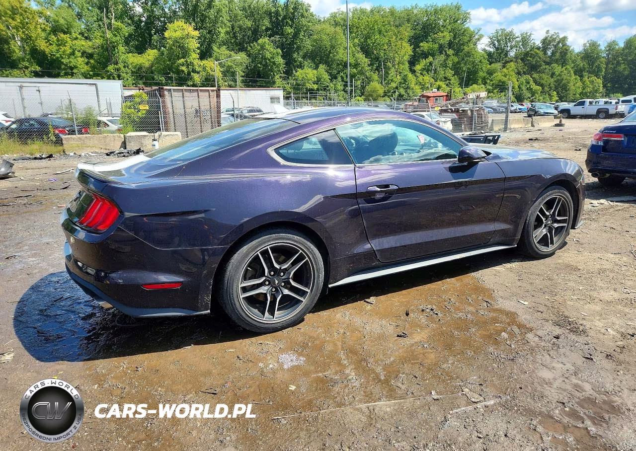 2023 Ford Mustang VIN:1FA6P8TH8P5101621 - 3