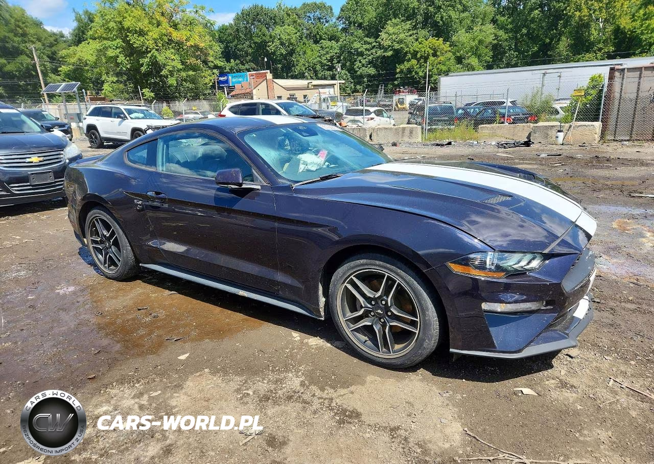 2023 Ford Mustang VIN:1FA6P8TH8P5101621 - 4
