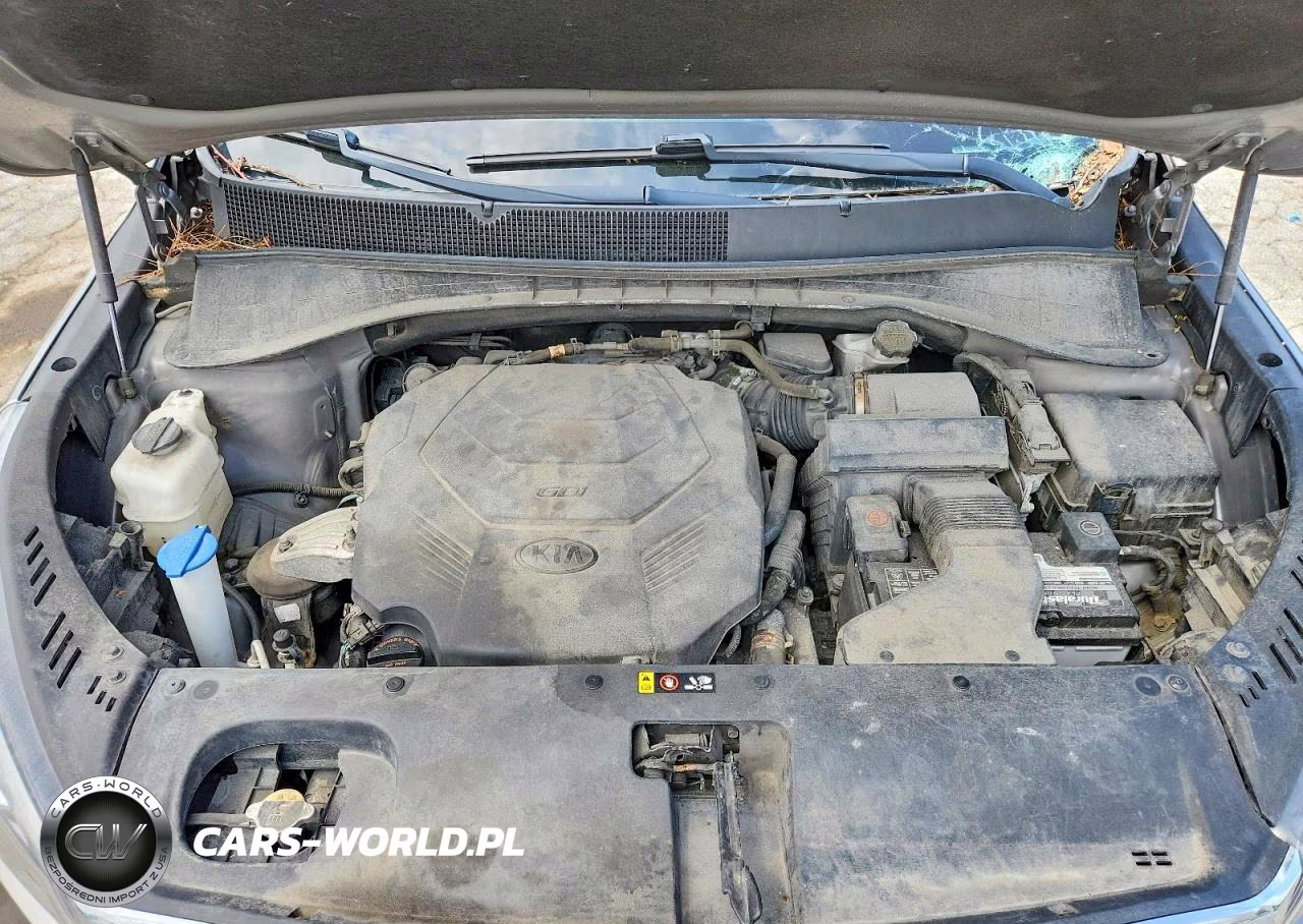 2019 Kia Sorento Sx V6 VIN:5XYPKDA50KG502594 - 12