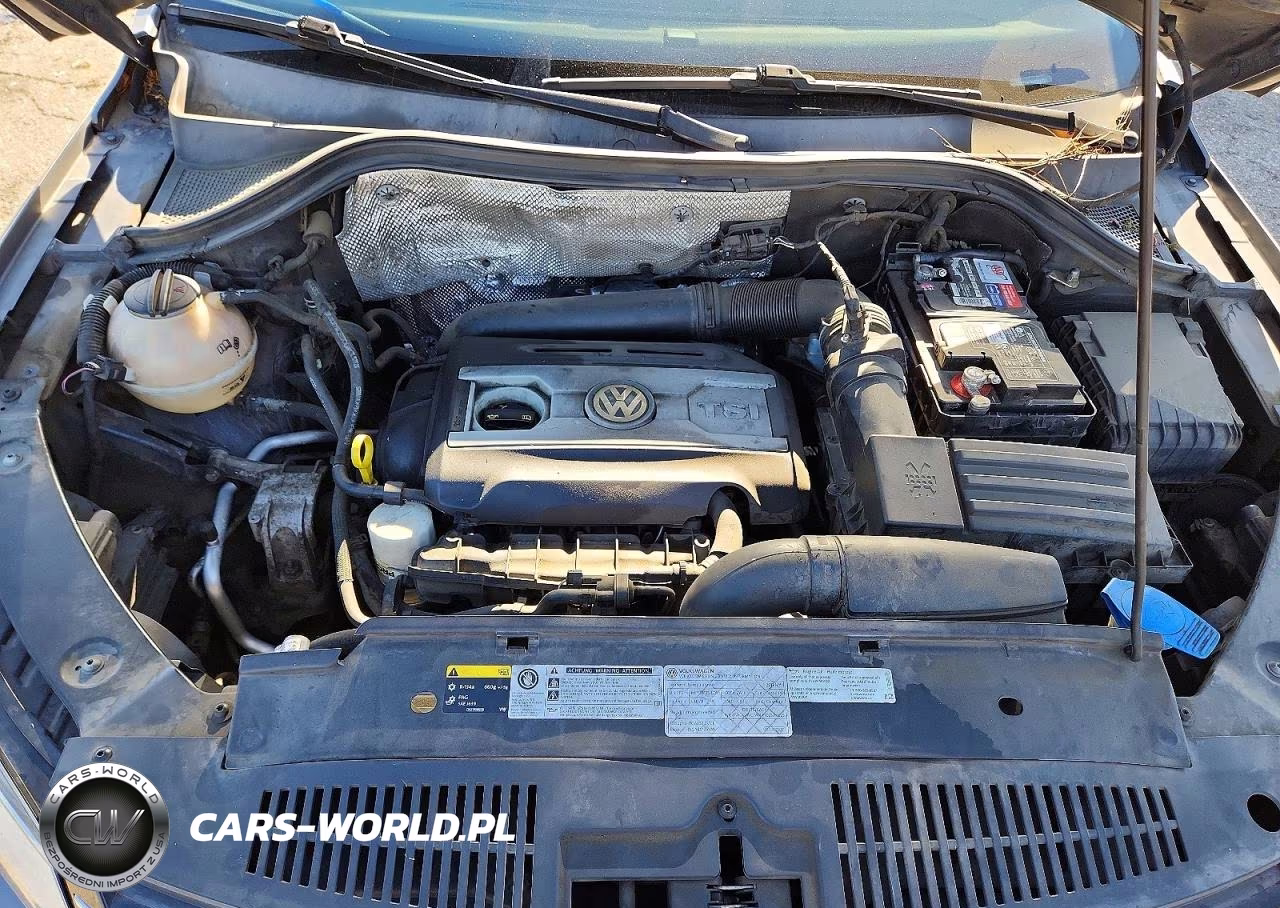 2017 Volkswagen Tiguan S VIN:WVGAV7AX1HK039220 - 12