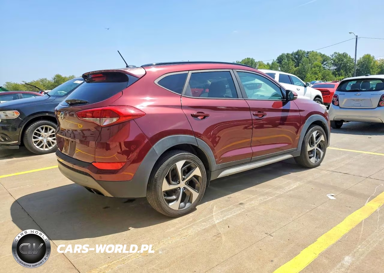 2017 Hyundai Tucson Value VIN:KM8J33A24HU550928 - 4