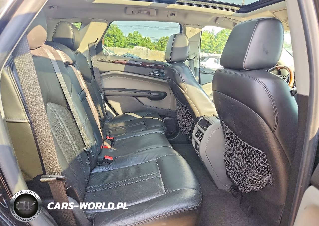 2010 Cadillac Srx Luxury Collection VIN:3GYFNDEYXAS622045 - 10