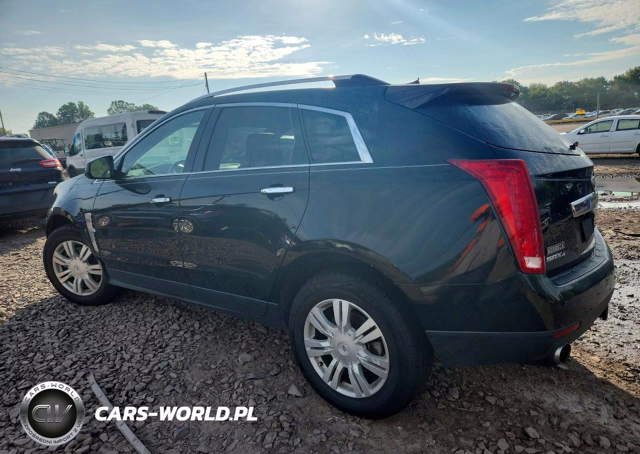 2010 Cadillac Srx Luxury Collection VIN:3GYFNDEYXAS622045 - 2
