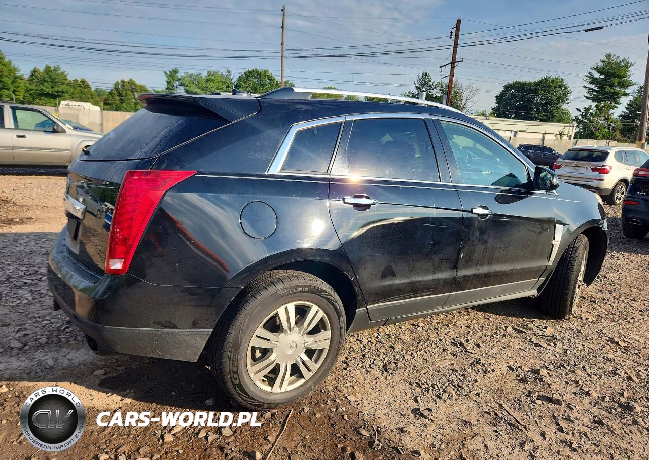 2010 Cadillac Srx Luxury Collection VIN:3GYFNDEYXAS622045 - 3