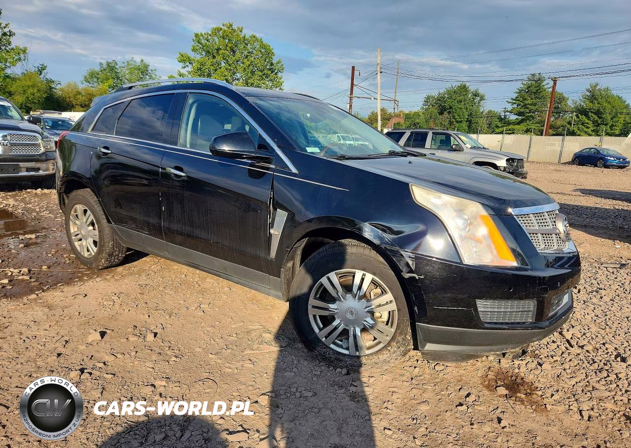 2010 Cadillac Srx Luxury Collection VIN:3GYFNDEYXAS622045 - 4