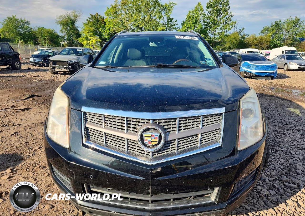 2010 Cadillac Srx Luxury Collection VIN:3GYFNDEYXAS622045 - 5