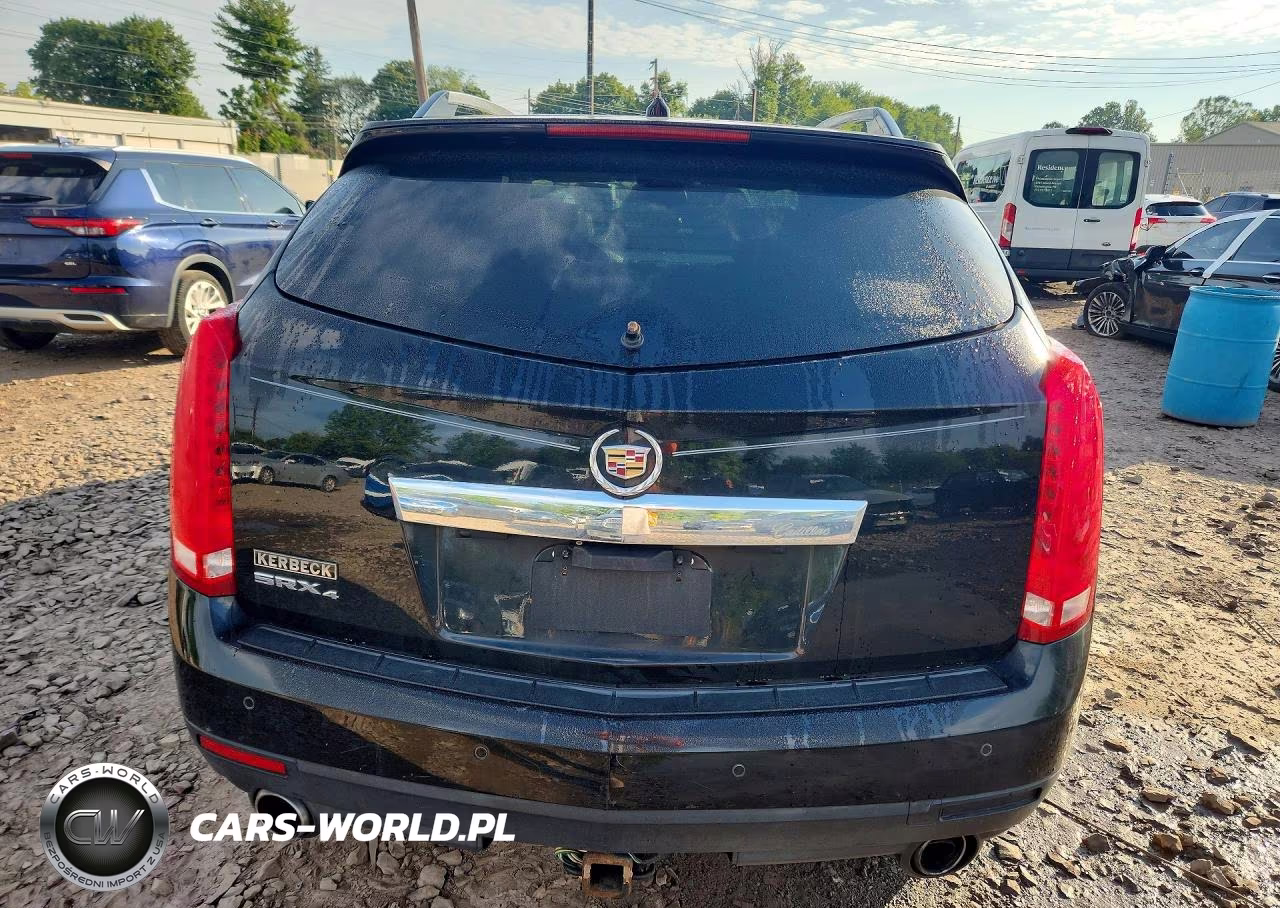 2010 Cadillac Srx Luxury Collection VIN:3GYFNDEYXAS622045 - 6