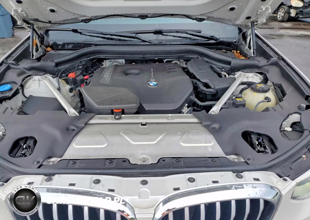 2019 BMW X3 Sdrive30I VIN:5UXTR7C55KLE94443 - 12