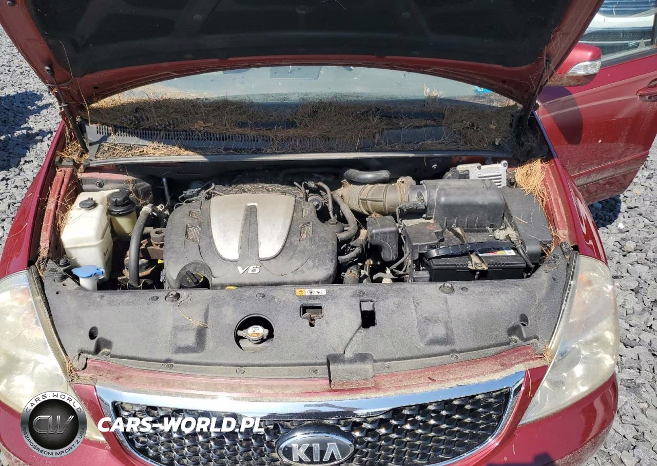 2014 Kia Sedona Lx VIN:KNDMG4C7XE6577779 - 12