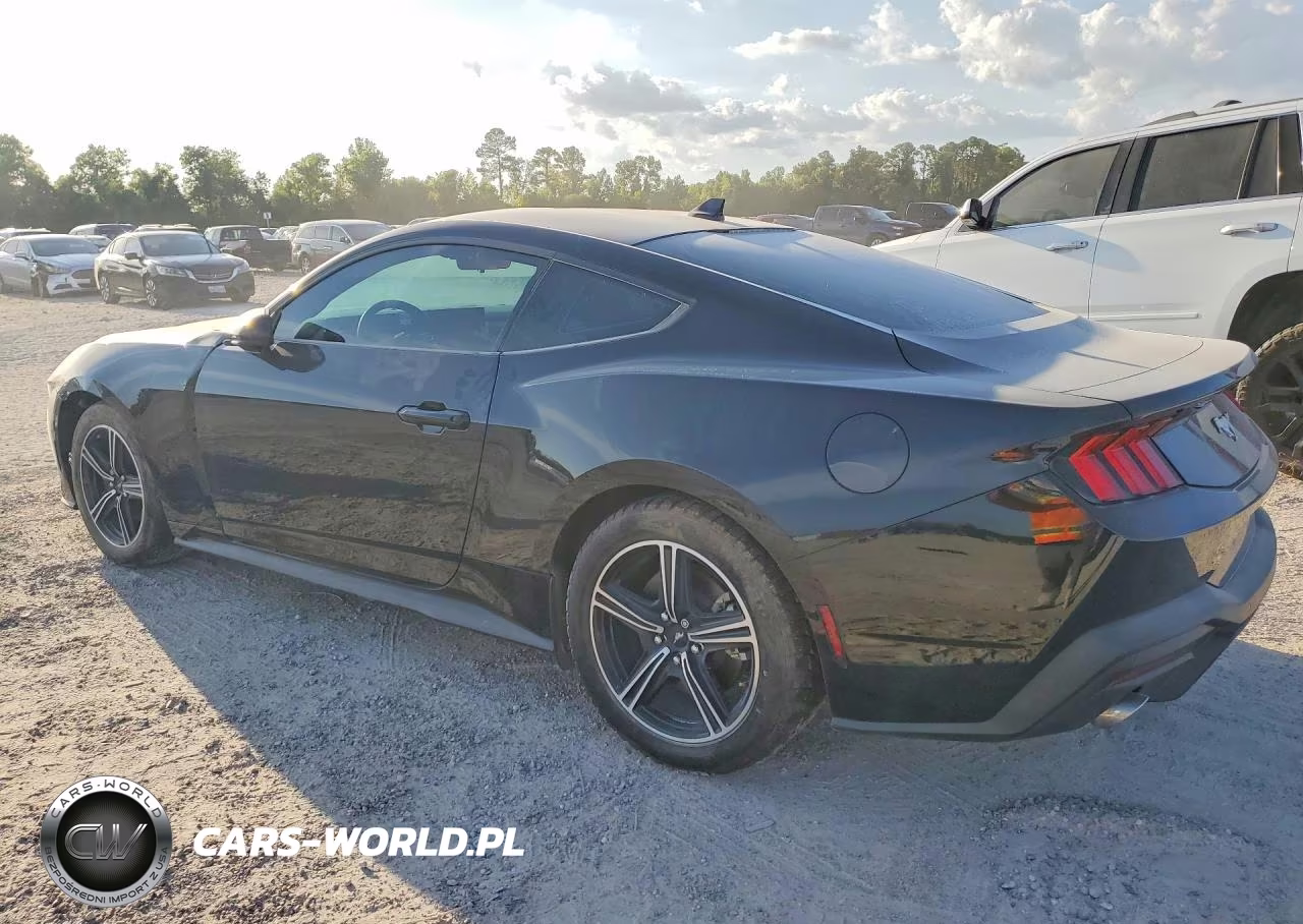 2024 Ford Mustang VIN:1FA6P8TH2R5137341 - 2