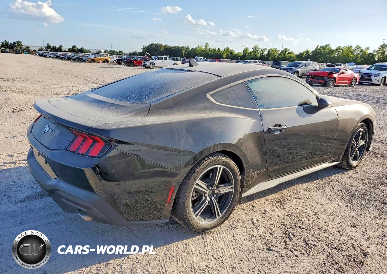 2024 Ford Mustang VIN:1FA6P8TH2R5137341 - 3