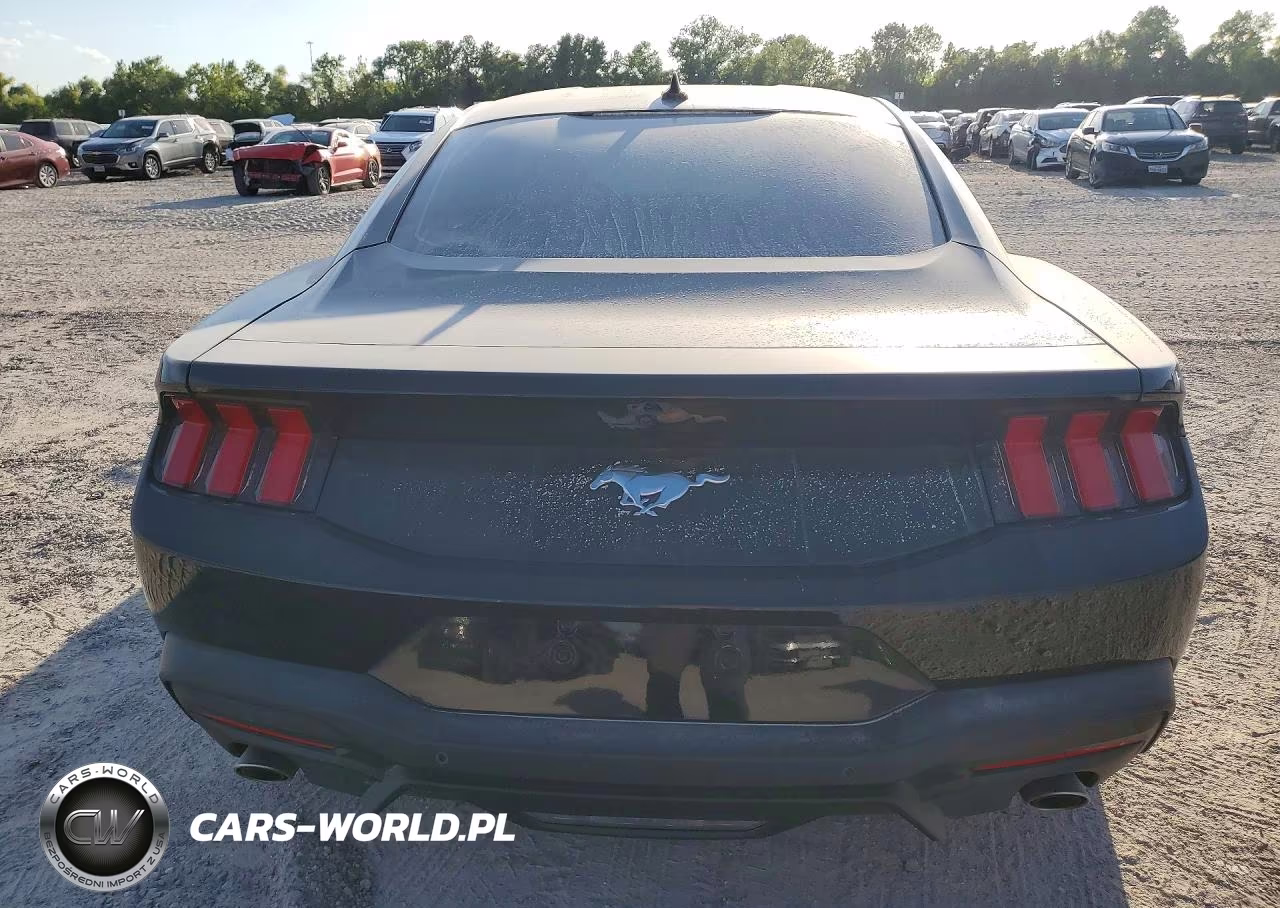 2024 Ford Mustang VIN:1FA6P8TH2R5137341 - 6