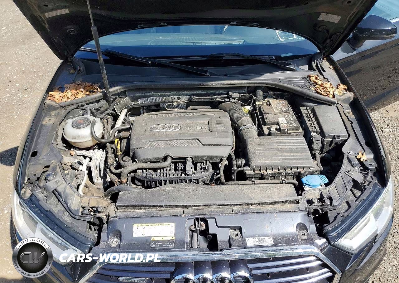 2019 Audi A3 Premium VIN:WAUBEGFF9K1027903 - 11