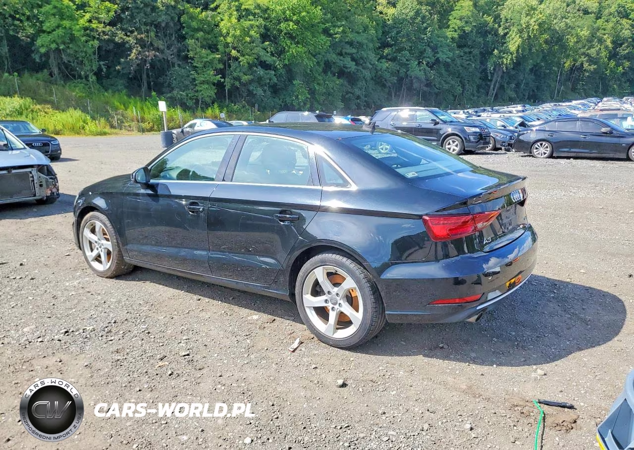 2019 Audi A3 Premium VIN:WAUBEGFF9K1027903 - 2