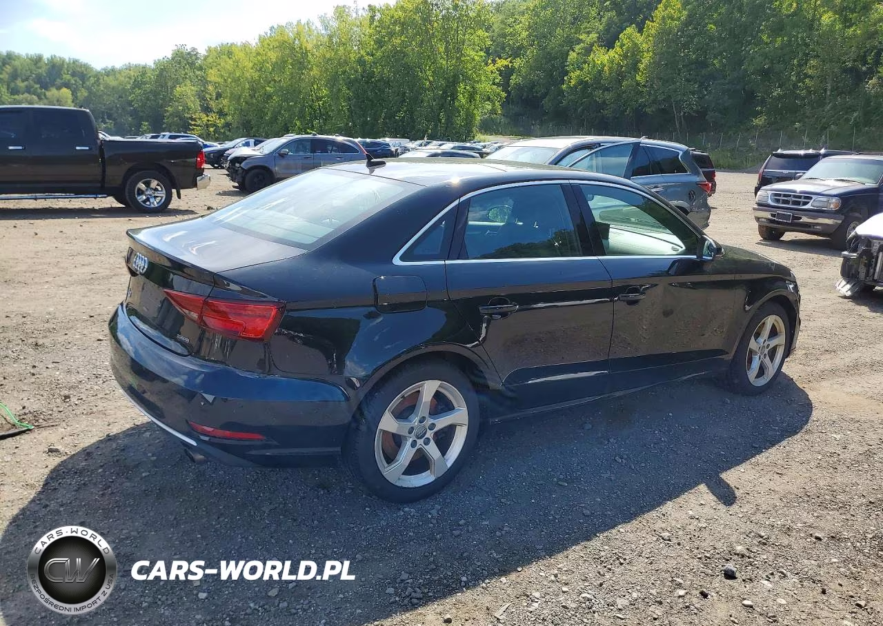 2019 Audi A3 Premium VIN:WAUBEGFF9K1027903 - 3