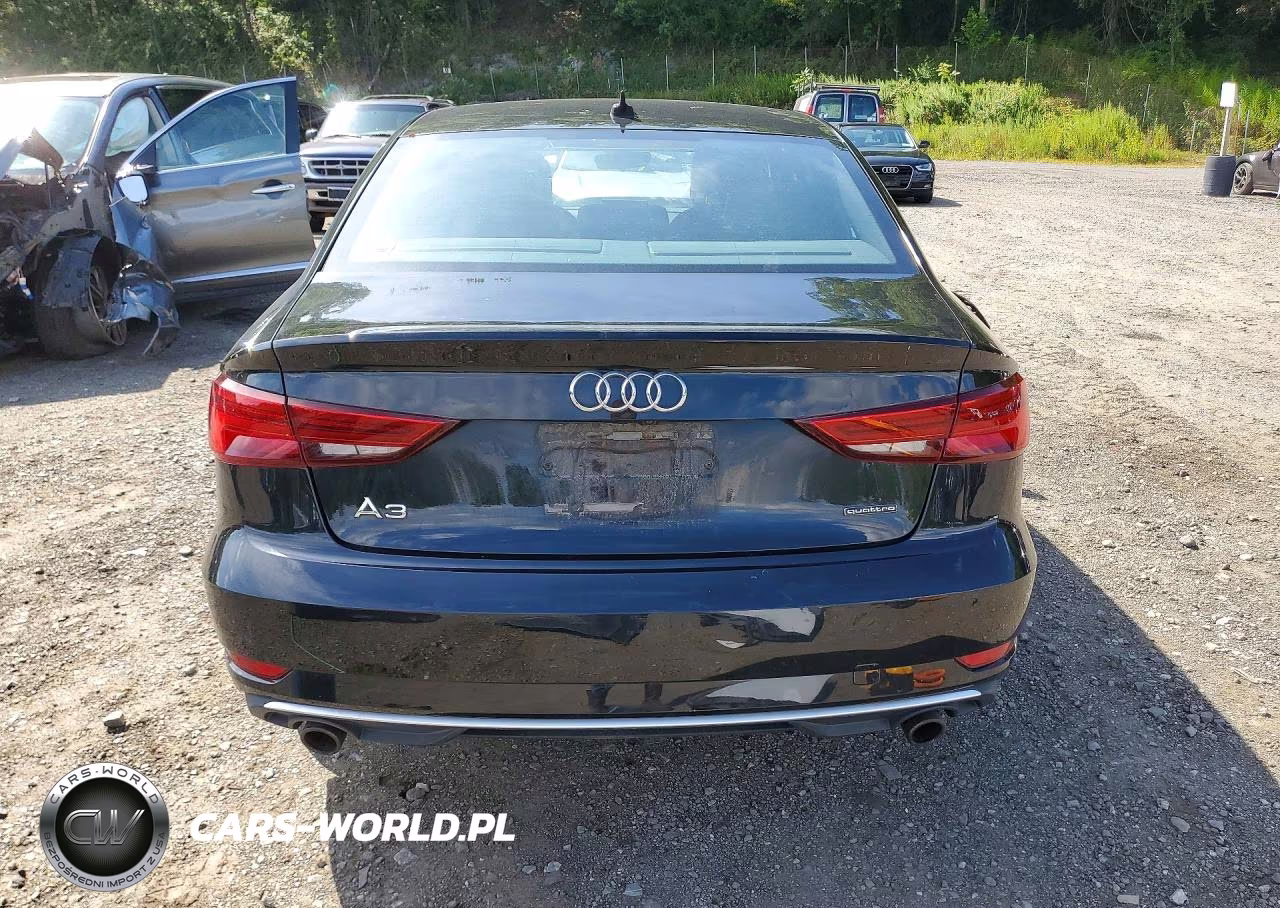 2019 Audi A3 Premium VIN:WAUBEGFF9K1027903 - 6