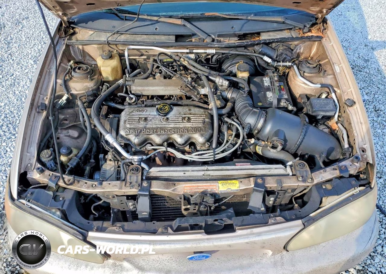 1997 Ford Escort Lx VIN:1FALP13P5VW400783 - 11