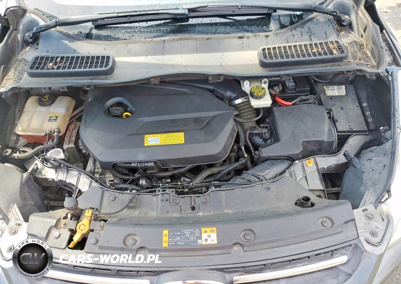 2013 Ford Escape Se VIN:1FMCU0GX1DUD83607 - 12