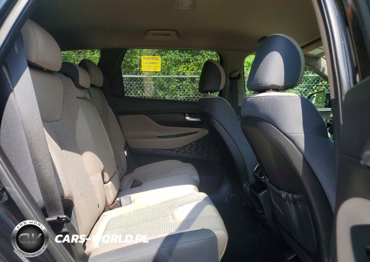 2020 Hyundai Santa Fe Sel VIN:5NMS3CAD7LH306510 - 11