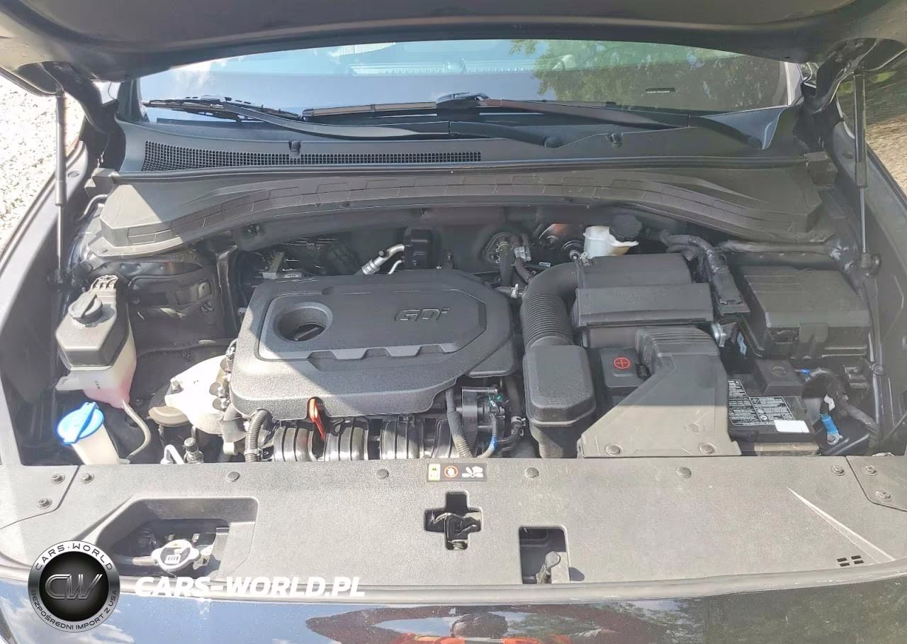 2020 Hyundai Santa Fe Sel VIN:5NMS3CAD7LH306510 - 12