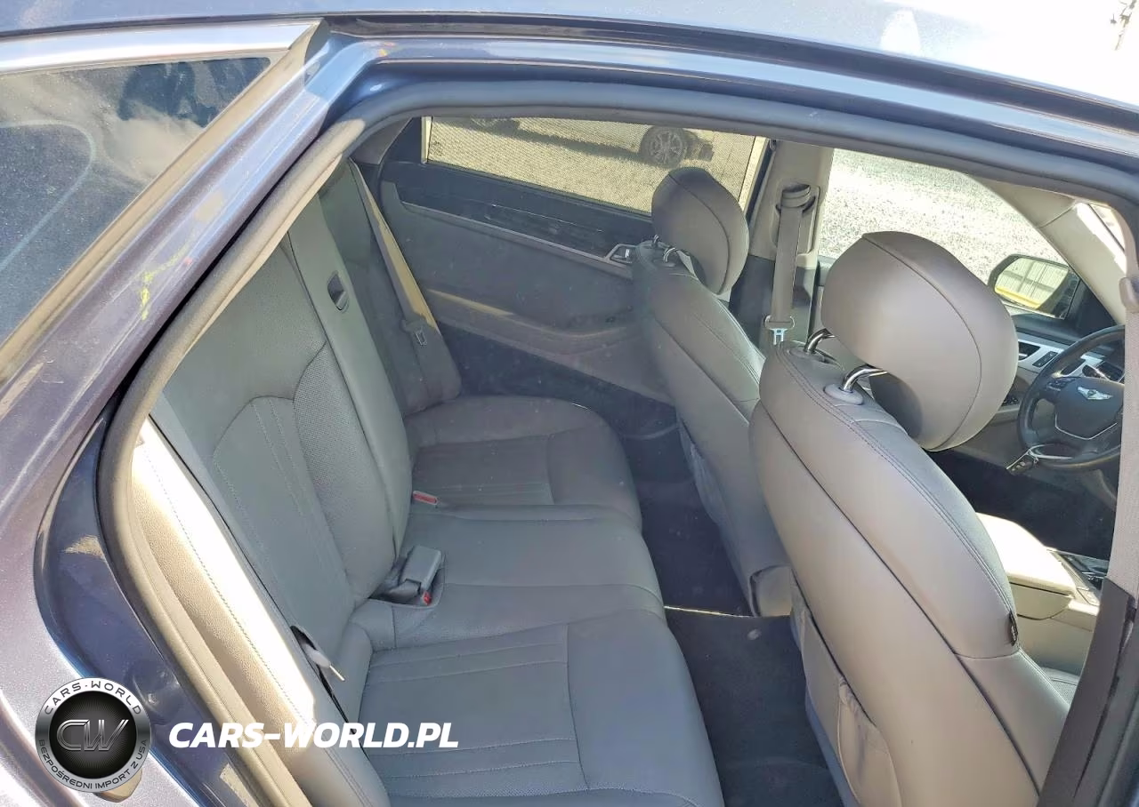 2015 Hyundai Genesis 3.8L VIN:KMHGN4JE2FU083719 - 10