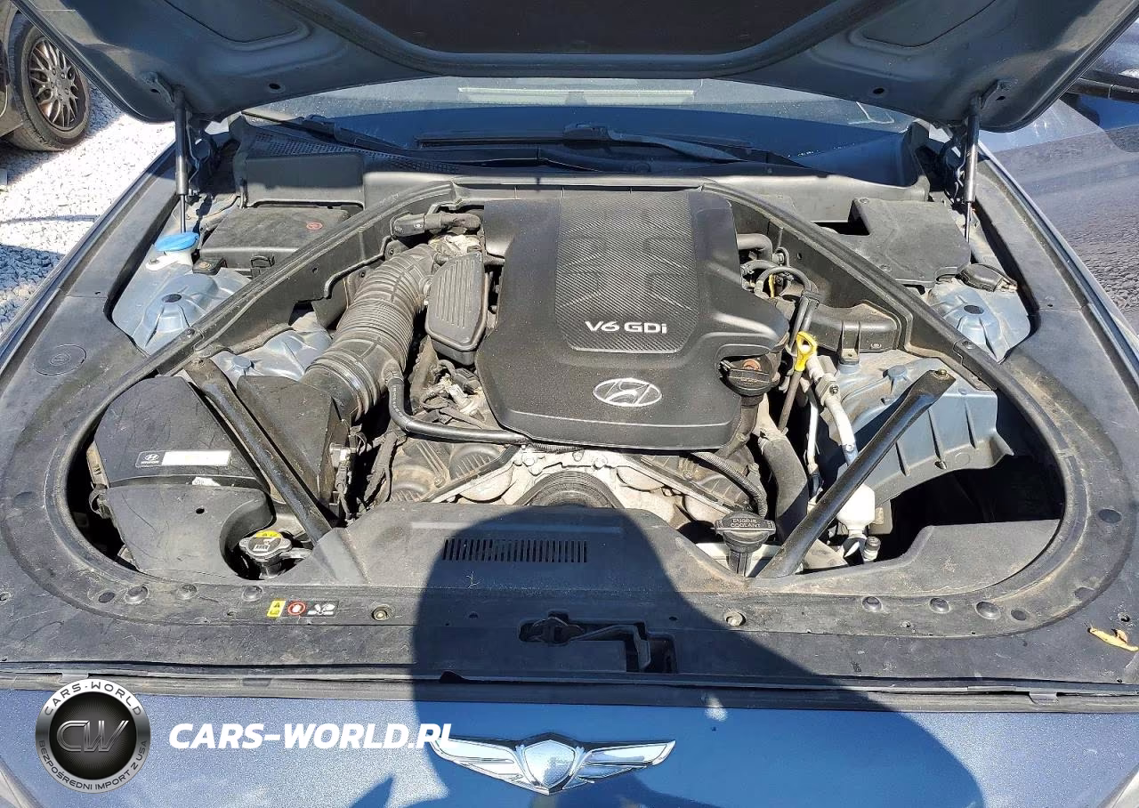 2015 Hyundai Genesis 3.8L VIN:KMHGN4JE2FU083719 - 11