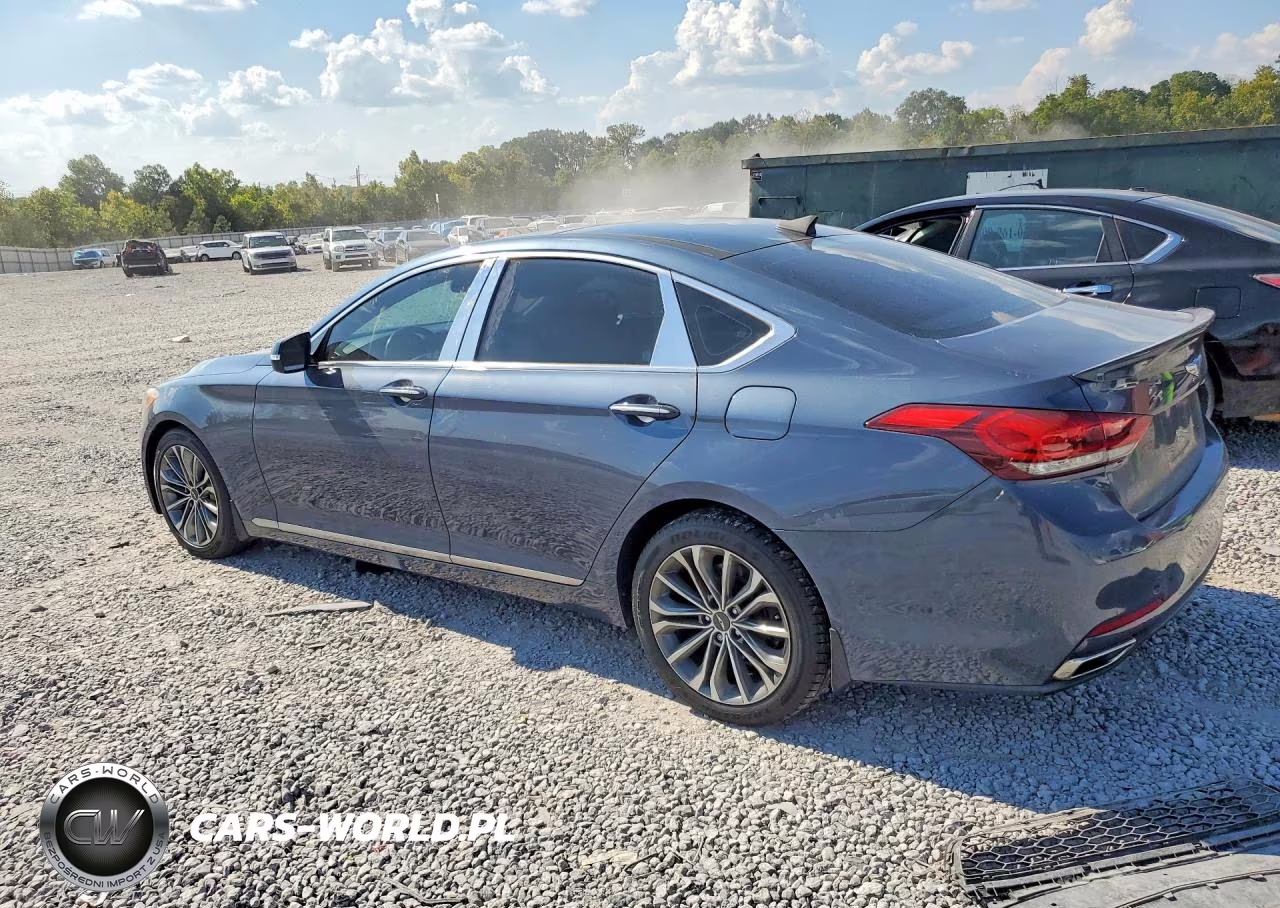 2015 Hyundai Genesis 3.8L VIN:KMHGN4JE2FU083719 - 2