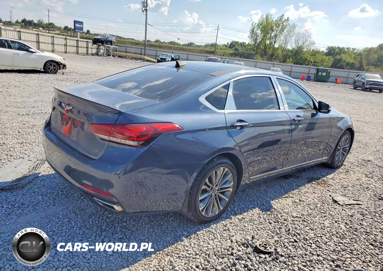 2015 Hyundai Genesis 3.8L VIN:KMHGN4JE2FU083719 - 3