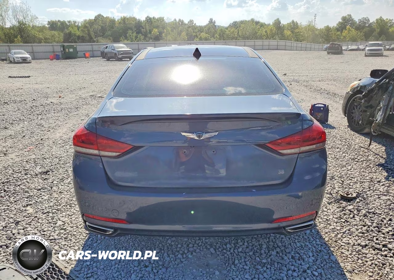 2015 Hyundai Genesis 3.8L VIN:KMHGN4JE2FU083719 - 6
